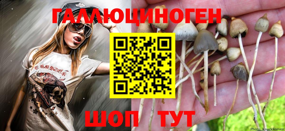 Псилоцибиновые грибы Cubensis Белебей